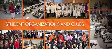 Charities and funding organisations for undergraduate students.